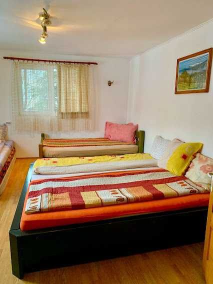 Cabana cu sauna si ciubar inclus (8-16pers) 10km de Toplita