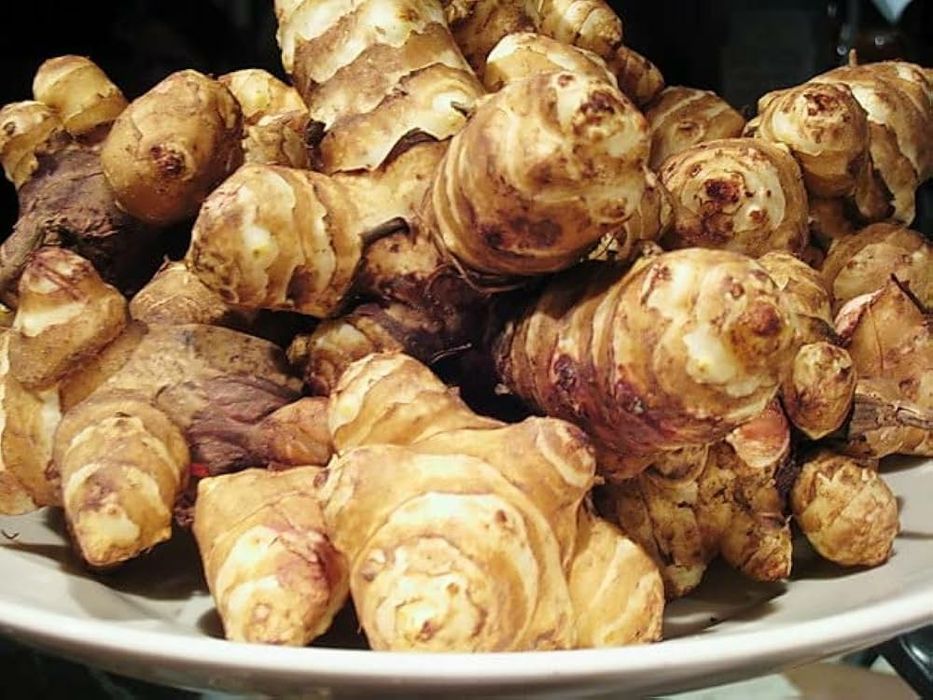 50  Rasaduri  "plante "rizomi tineri)   Topinambur   Organic   Soi   Australian
