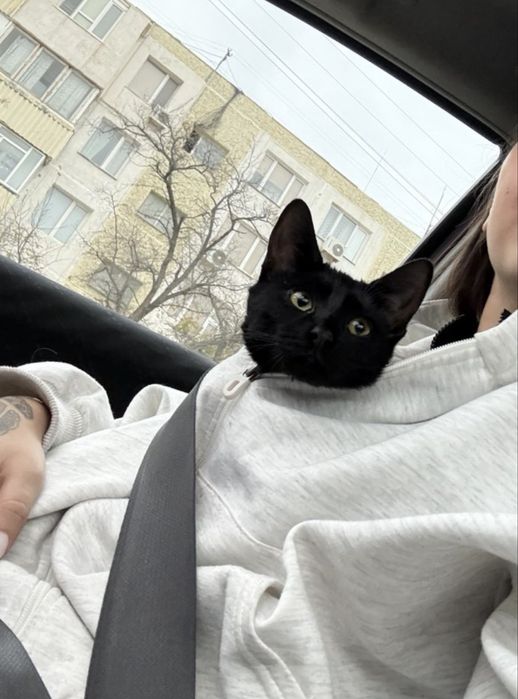 Девочка 5 месяев