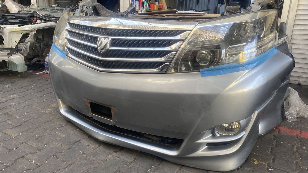 Ноускат Альфард