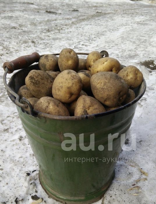 Продам картошку.