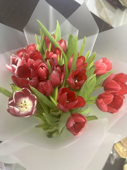 Тюльпаны 21 штук