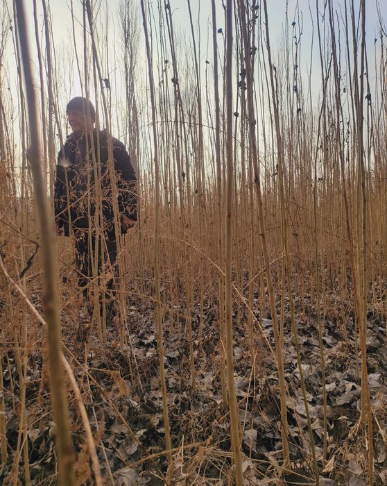 Терак кучат бор оптим сотлади  оладиган одамга келиштириб берамиз