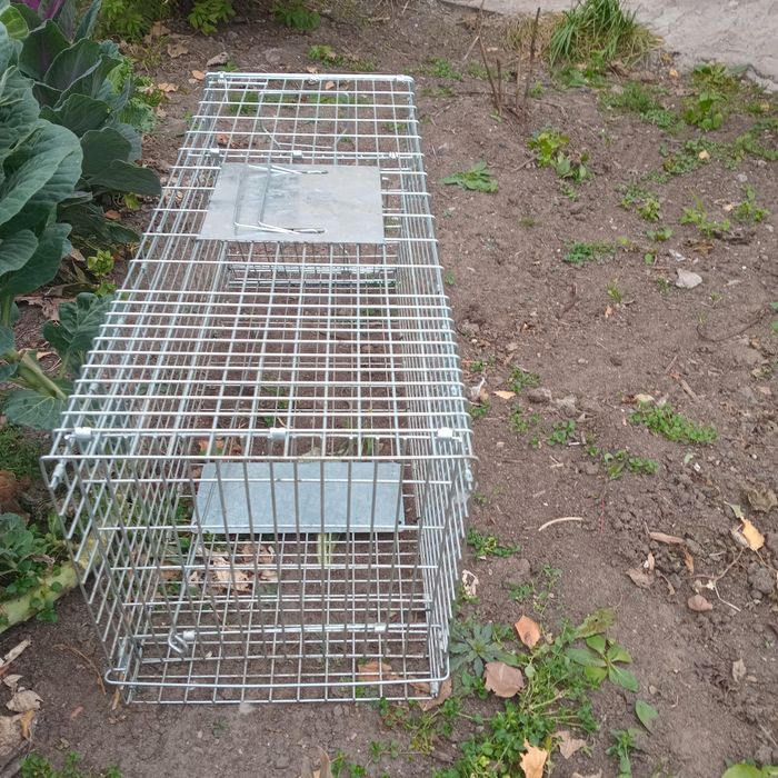 Продам кошколовку