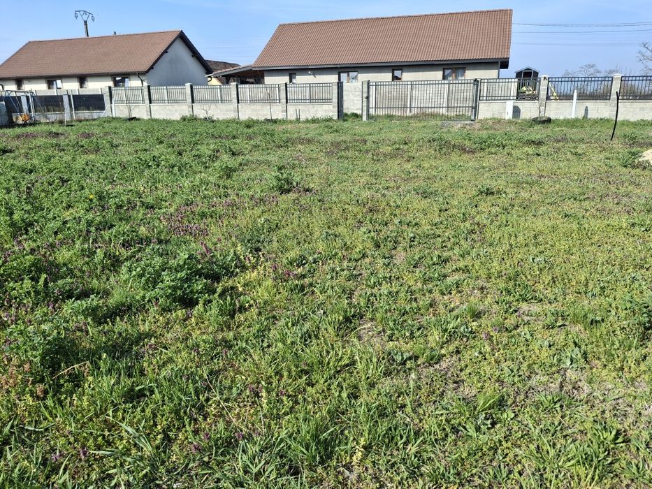Vand  teren ingradit pentru casa 703 mp