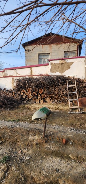 Дрова тутовника. Ок тут.