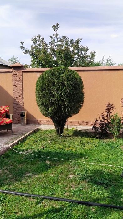 Садовник на дома