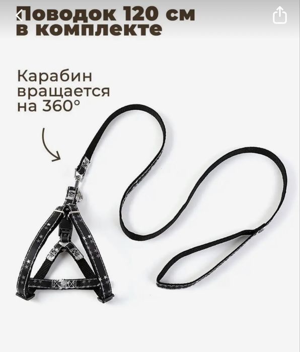 Продам шлейку и поводок