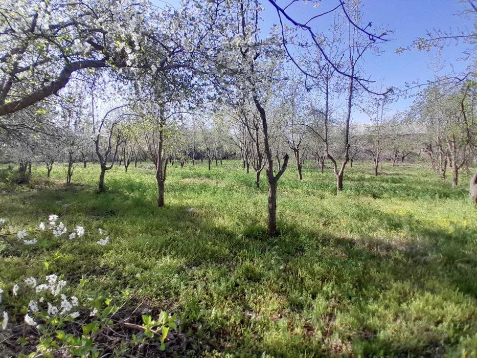 ЕР СОТИЛАДИ срочно келишамиз