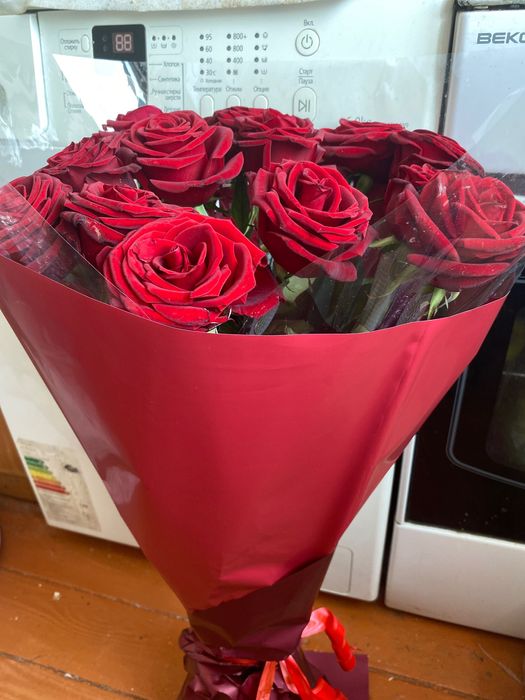 Цветы Шымкент Б/У