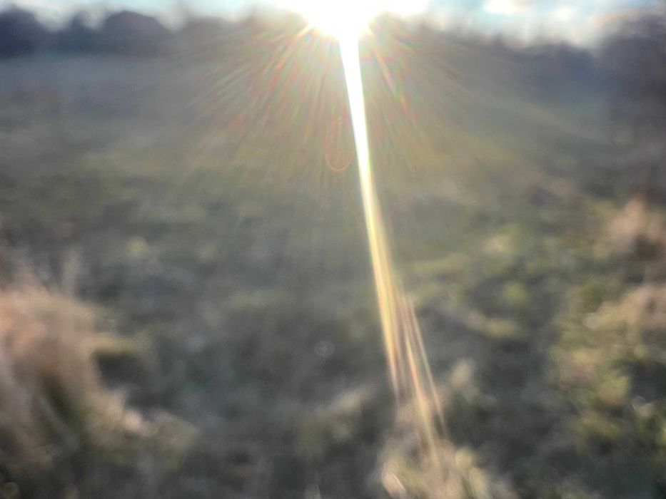 Продава се Парцел в с. Борован, Област Враца - 4000 кв.м за 16 €/кв.м - Снимка #8