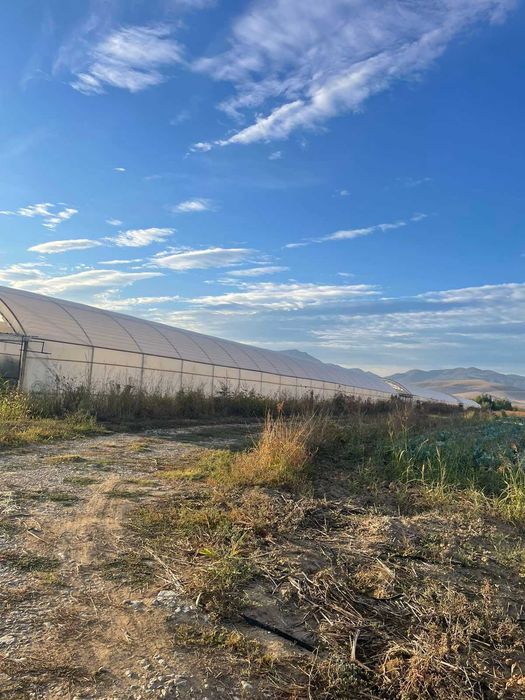 Продава се Земеделски имот в с. Триводици, Област Пловдив -  кв.м за 16490 €/дка - Снимка #5