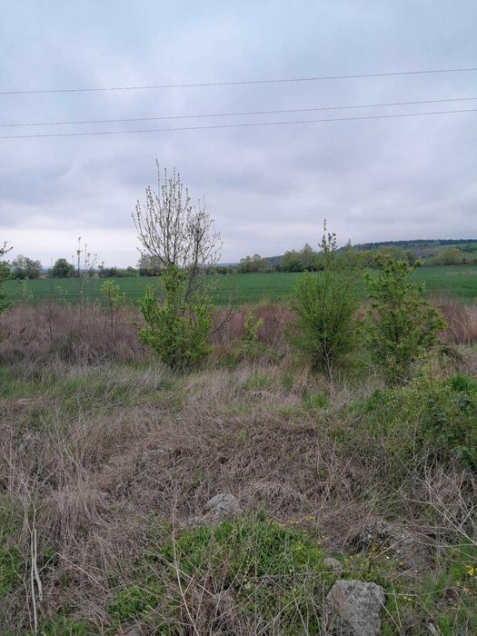 Инвестиционен парцел зад бирена фабрика Хасково!