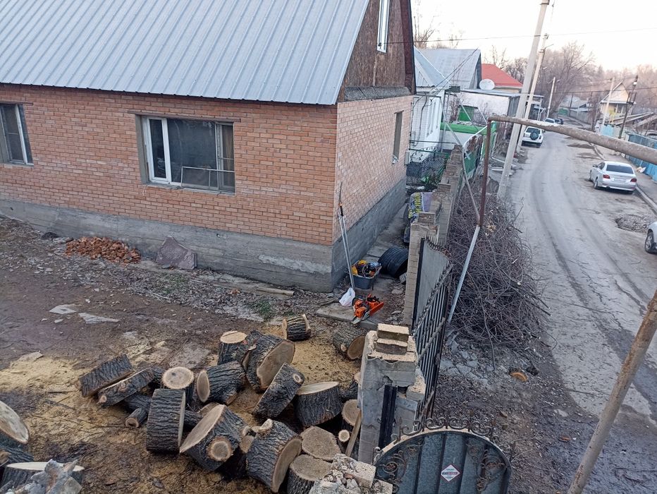 Расчистка участка , валка, спил