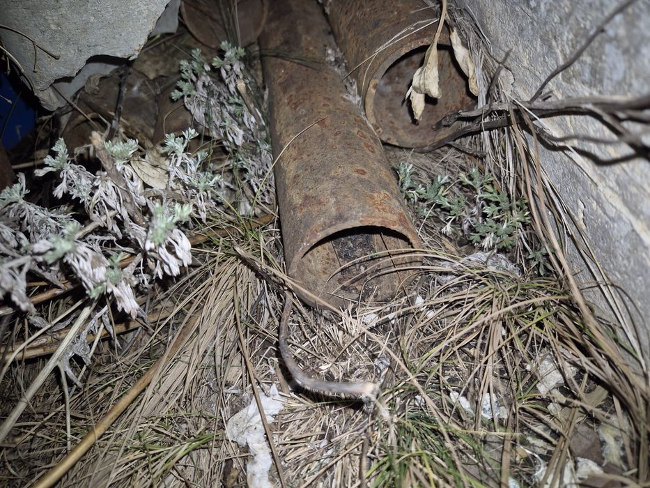 Продам трубы д 50 мм