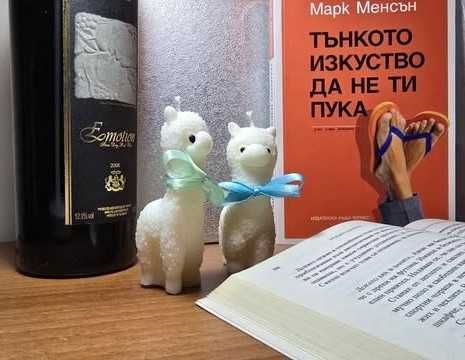 Натурални соеви свещи