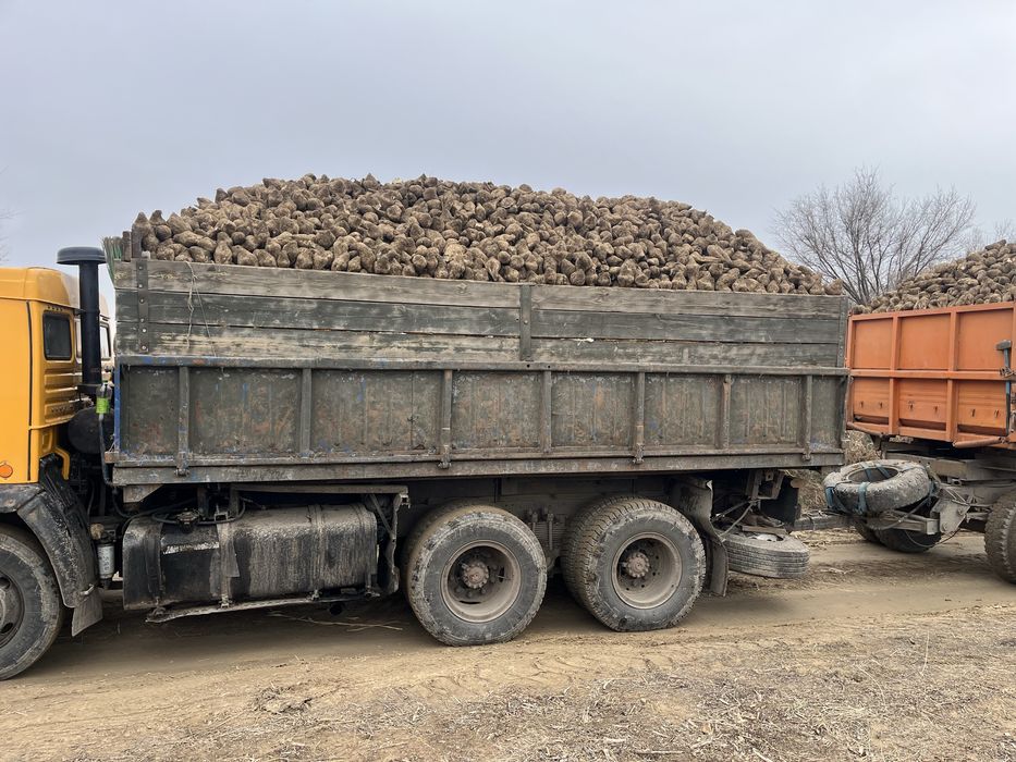 Кузов камаза сельхозник