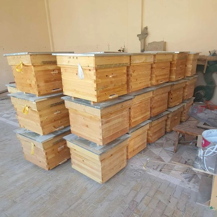 Asalari yashshiklar Rasiskiy sasna taxtadan