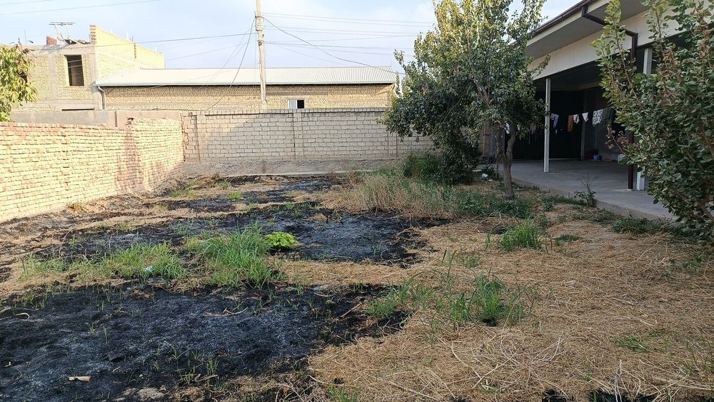 Turkistonda 1.7 sotik yer sotiladi