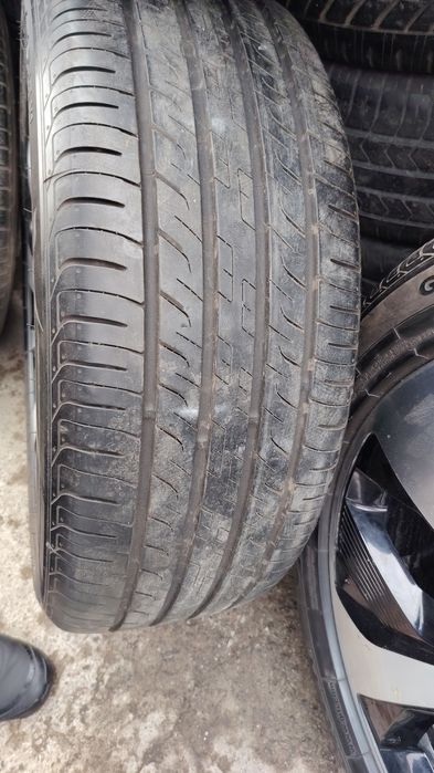 BYD chimpion deska 19 original