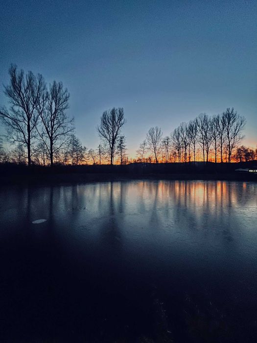 Complex ALMA LAKE- Casute de inchiriat