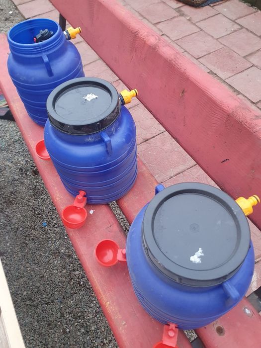 Adapatoare automate pentru pasari pui gaini curci fazani porumbei