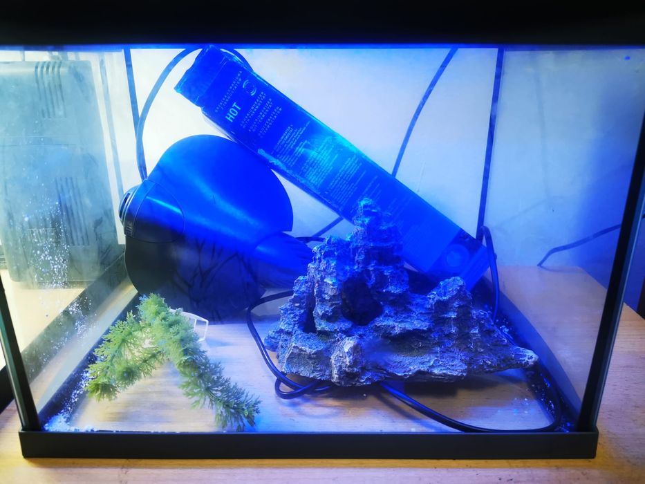 Vând acvariu Juwel Primo60 și Tetra complet echipate