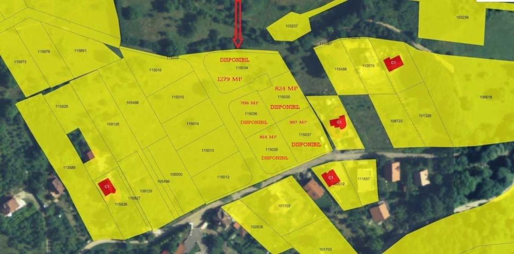 Teren intravilan cu PUZ si toate utilitatile \ Sibiu - Cisnadioara