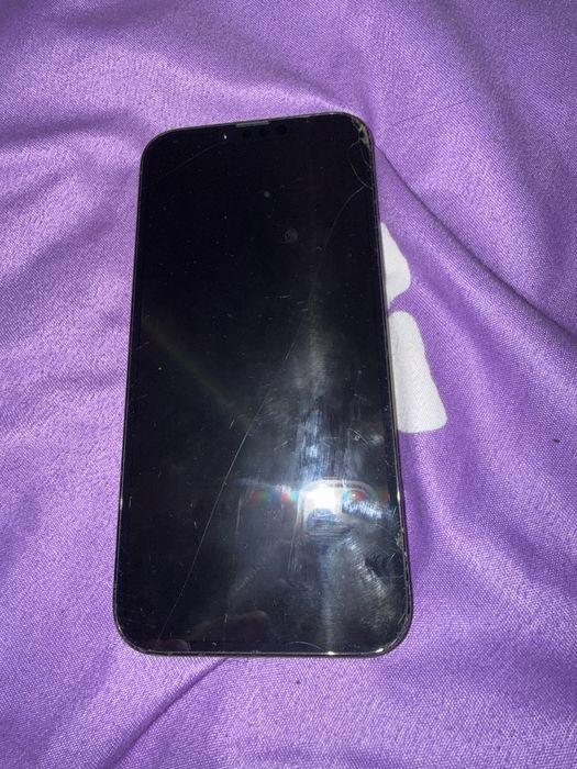 Iphone 13 pro max FUNCTIONAL!