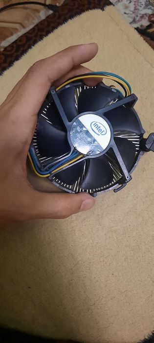 Материнская плата видеокарта