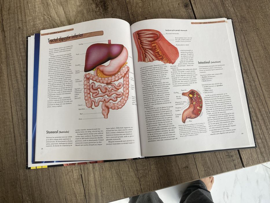 Cărțile 100 de Lucruri Despre… + Carte Despre Corpul Uman  Cadou!