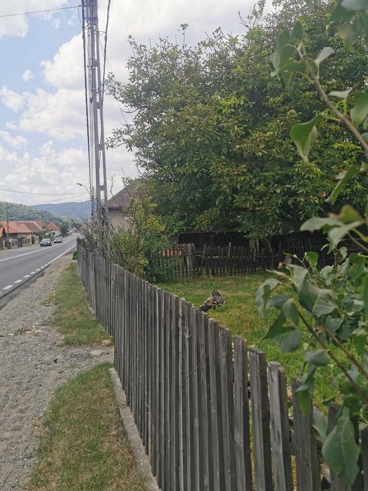 Vând casă și teren intravilan