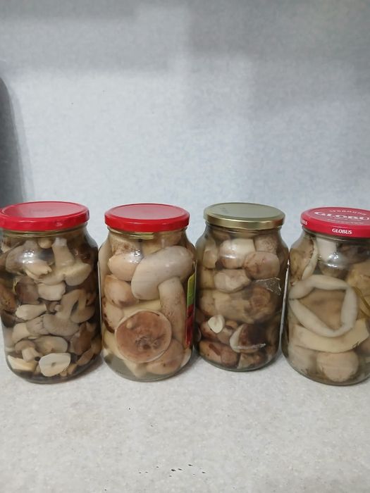 Продам лесные грибы солёные,маринованные Белые грибы, маслята,подосино