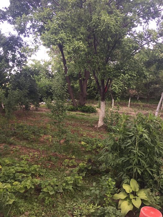 Срочно Продаётся Дом