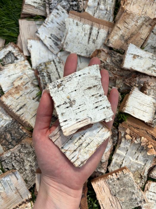 Кора сосны оформление