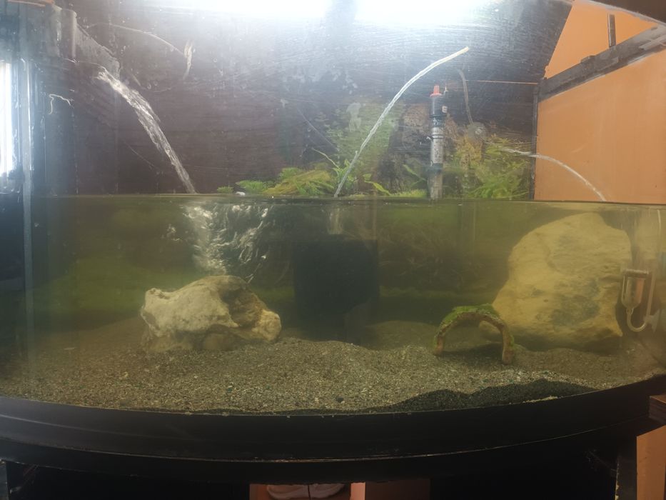 Vând acvariu 120l
