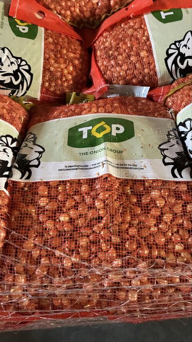 Top onion 14/17 arpagic