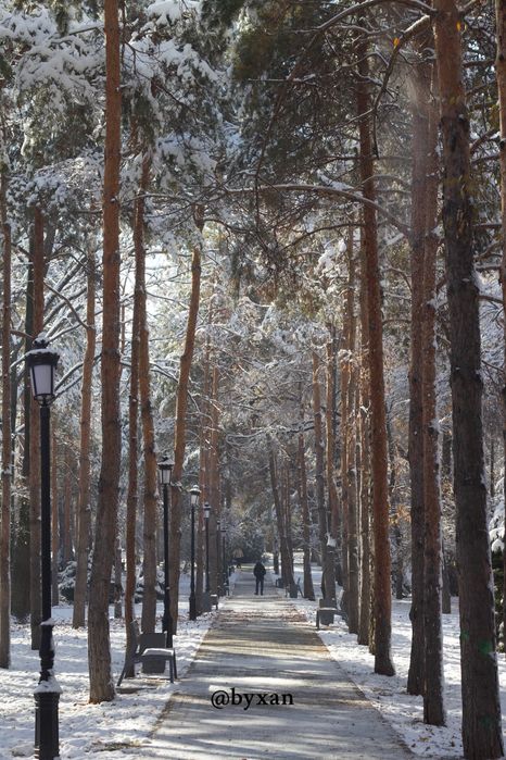 Canon zoom lens ef 50mm