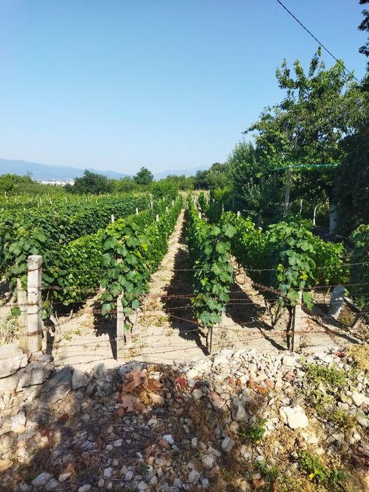 Продава се Земеделски имот в Сопот -  кв.м за 13 €/дка - Снимка #1