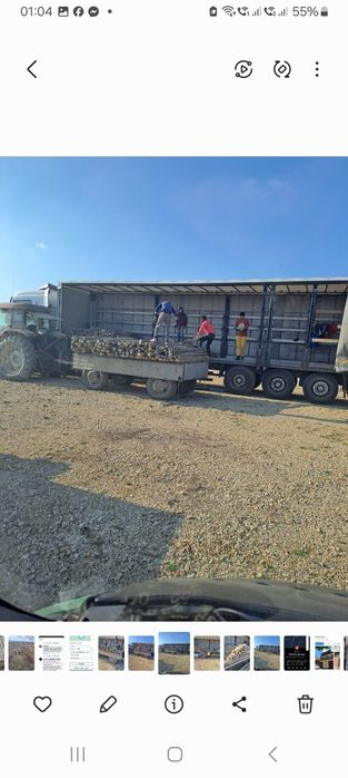 Stîlpi șpalieri de beton și Șpalieri metalici de vânzare