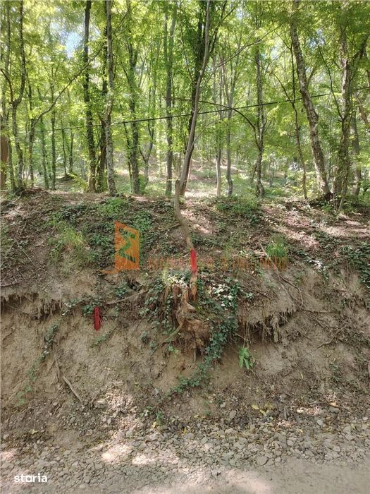 Teren intravilan zona Monteoru