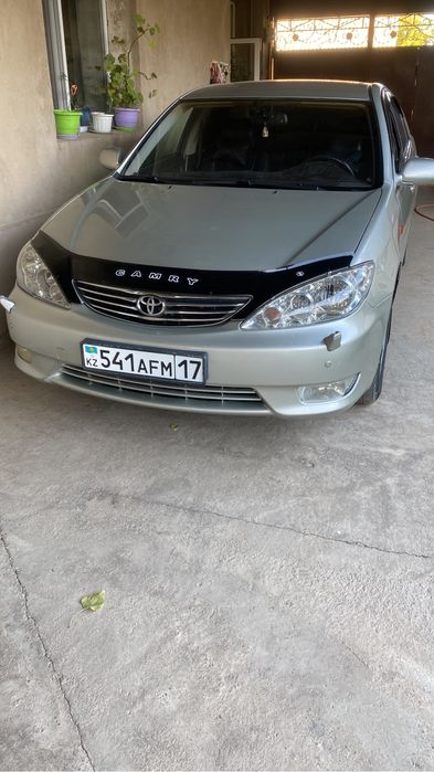 Продам европейку таету