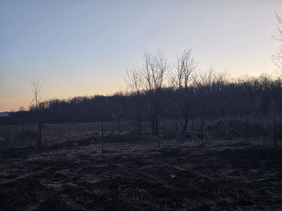 Teren langa pădure Ciurbesti