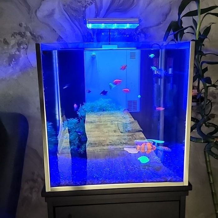 Аквариум на заказ и в наличии