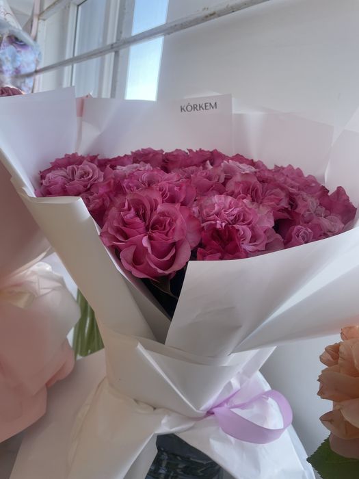 розы садовые, пионовидные