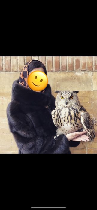 Норковое шуба