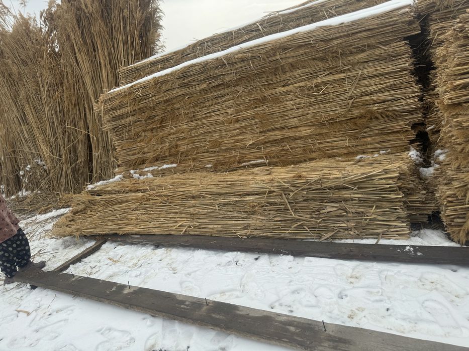 Қамыс, Маты сатылады,