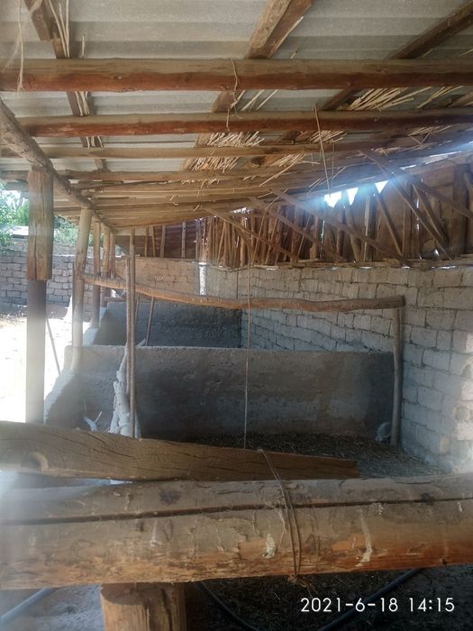 Qushqondi 8.9 sotu 5 xona uy