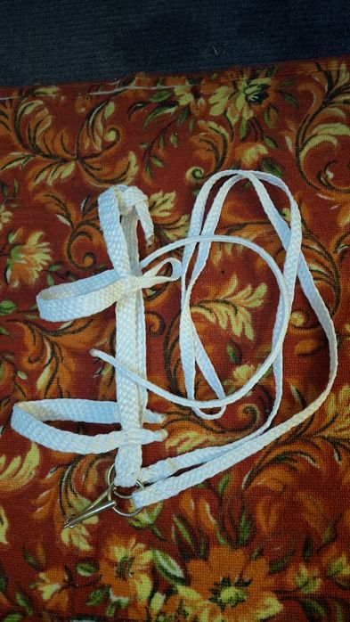 Жүген (уздечка), Ноқта