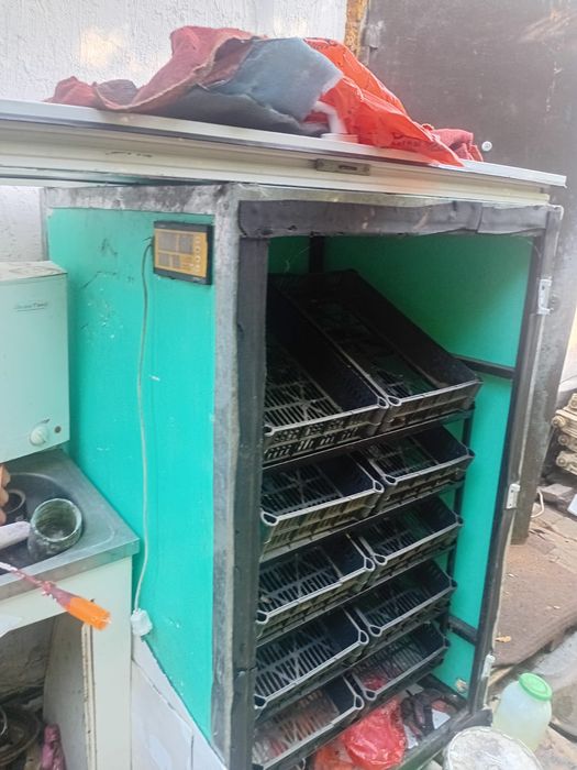 продам инкубатор